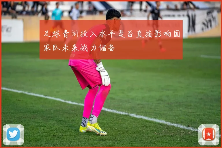 足球青训投入水平是否直接影响国家队未来战力储备